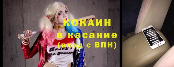 прущие крисы Болотное