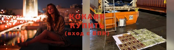 прущие крисы Болотное