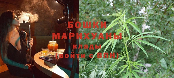 гашик Болхов