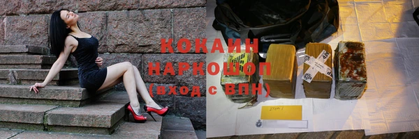 гашик Болхов